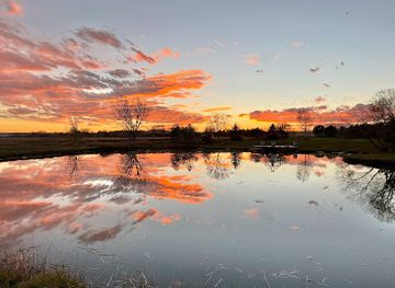 nebraska/panhandle/attraction/papa-moon-the-farm