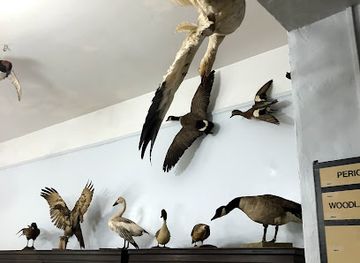 delaware/white-clay-creek-state-park/attraction/iron-hill-school-museum