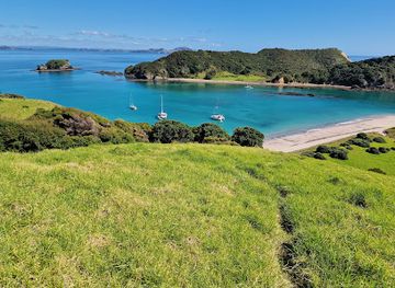 new-zealand/bay-of-islands/attraction/carino-wildlife-cruises