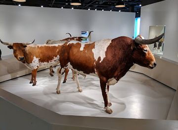 texas/fort-worth/attraction/cattle-raisers-museum