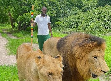 senegal/mbour/attraction/fathala