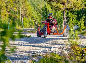 norway/hardangervidda-national-park/attraction/mountain-cart-dagali