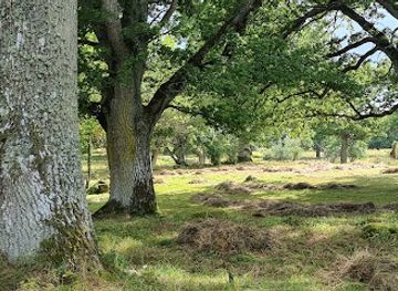 sweden/vastergotland/attraction/brunsbo-ang