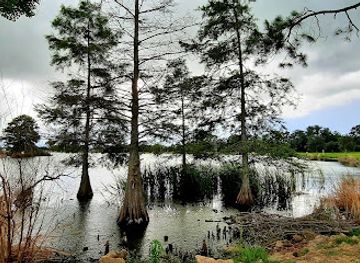 louisiana/north-louisiana/attraction/gator-chateau