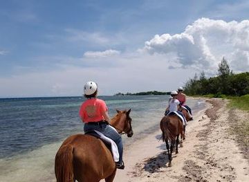 Braco Stables