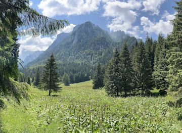 romania/prahova-valley/attraction/poiana-costilei