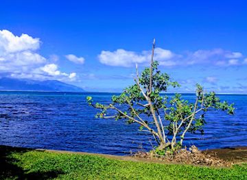 french-polynesia/windward-islands/attraction/source-vaima