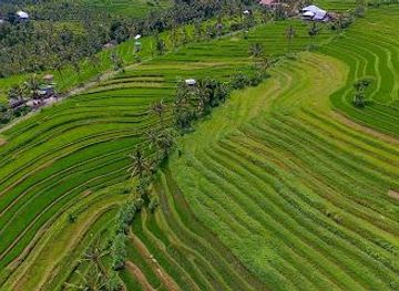 indonesia/bali/attraction/sambangan-village-tourist-information-sambangan-secret-garden