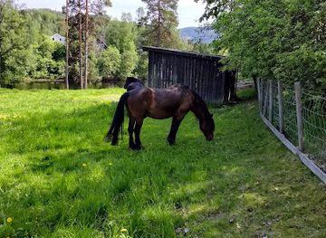 norway/norefjell/attraction/barnas-bondegard