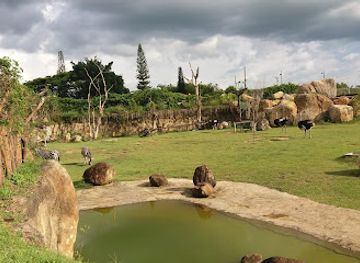 colombia/coffee-axis/attraction/ukumari-park