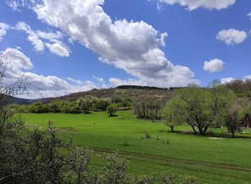 bulgaria/vitosha-mountain/attraction/living-water-spring