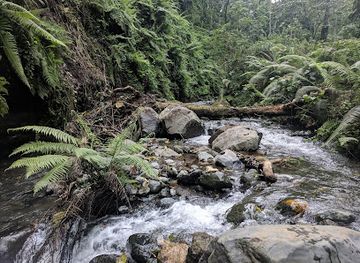 tanzania/lake-zone/attraction/waterfalls-arusha-themi-falls-hiking-leisure-park