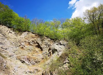 slovakia/kosice-region/attraction/castle-skaros