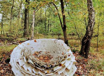 belgium/limburg/attraction/kunstbloem