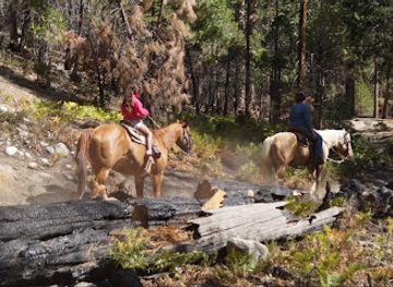 california/sequoia-national-park/attraction/cedar-grove-pack-station