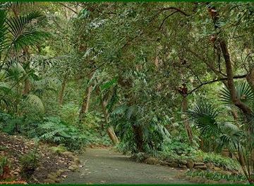 spain/malaga/attraction/jardin-botanico-historico-la-concepcion