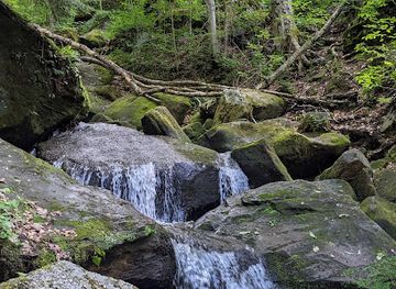 Bent Run Waterfall
