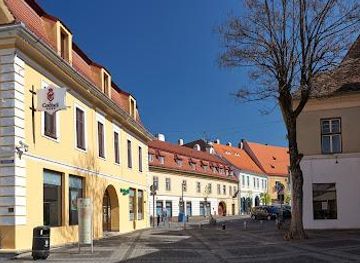 romania/sibiu-area/attraction/nico-sibiu-guide