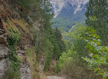 greece/mount-taygetos/attraction/manganiari-spring