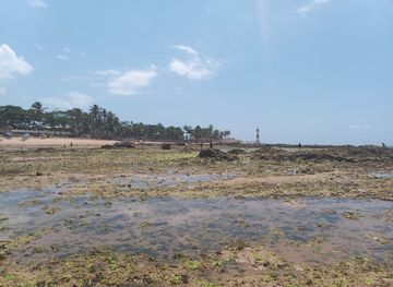 brazil/salvador/itapua/attraction/praia-das-bolas-itapua
