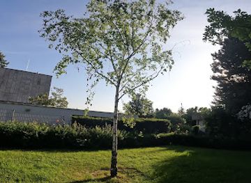 austria/vienna/liesing/attraction/birke-23-23-von-johanna-dohnal