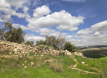 israel/shephelah/attraction/adullam-grove-nature-reserve