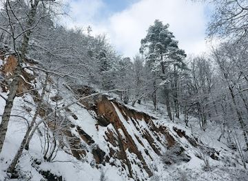 belgium/hautes-fagnes/attraction/point-de-vue-solwaster