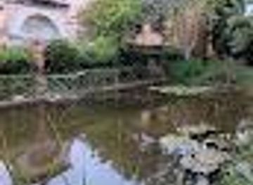 italy/pisa/attraction/orto-botanico-di-livorno