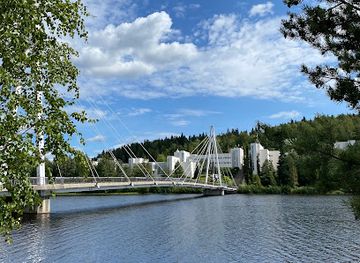 finland/jyvaskyla/attraction/ylisto-bridge