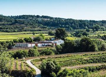 spain/barcelona/attraction/celler-eudald-massana-enoturisme-winebar-tast-i-botiga