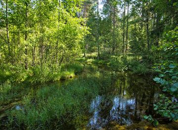 estonia/kuressaare-castle/attraction/odalatsi-allikad