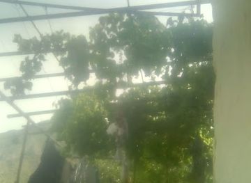 armenia/arevik-national-park/attraction/Meghru-zbosaygi