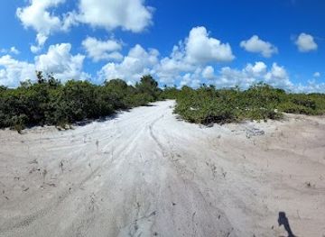 guyana/mazaruni-river/attraction/rushell-wasteland