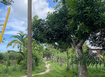 honduras/gracias-a-dios-region/attraction/brus-laguna-gracias-a-dios