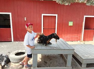 idaho/rexburg/attraction/children-s-zoo