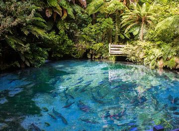 new-zealand/rotorua/attraction/paradise-valley-springs