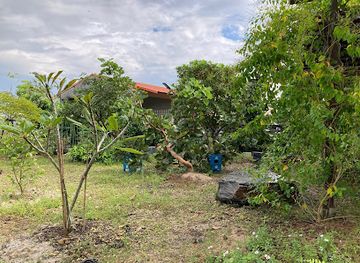 thailand/nakhon-si-thammarat/attraction/suan-klang-jai-nakhon-si-thammarat