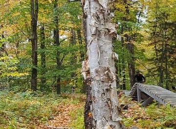 vermont/stowe/attraction/trapp-family-lodge-outdoor-pool