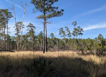 florida/gainesville-area/attraction/morningside-nature-center