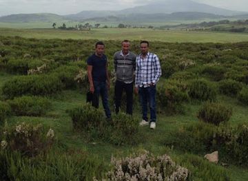 ethiopia/bale-mountains-national-park/attraction/galema-park