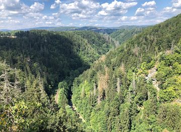 czechia/krkonose/attraction/prirodni-rezervace-udoli-jizery-u-semil-a-bitouchova