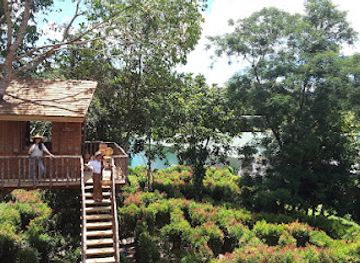 thailand/phuket-province/attraction/the-garden-maze-phuket-get-lost-in-the-labyrinth-the-upside-down-house