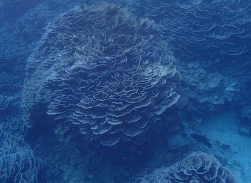 mauritius/rodrigues/attraction/reserve-naturelle