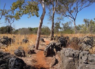 australia/top-end/attraction/cutta-cutta-caves-nature-park