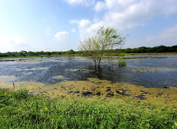 mexico/tamaulipas-coast/attraction/santa-ana-national-wildlife-refuge