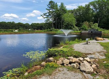 rhode-island/arcadia-management-area/attraction/leyden-farm-vineyard-winery