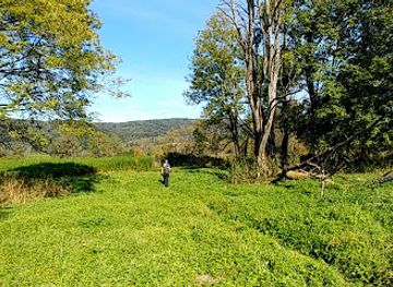 poland/bieszczady-mountains/attraction/tworylczyk