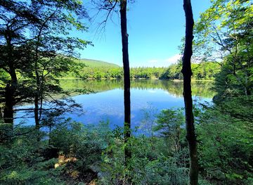 new-hampshire/lakes-region/attraction/monadnock-state-park