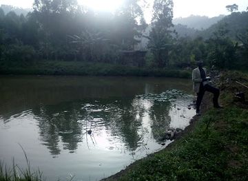 uganda/western-region/attraction/kanyansti-fish-ponds
