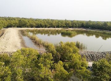 bangladesh/sundarbans-national-park/attraction/dobanki-watch-tower